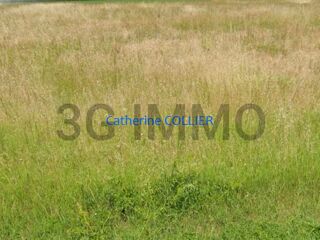  Terrain  vendre 8119 m