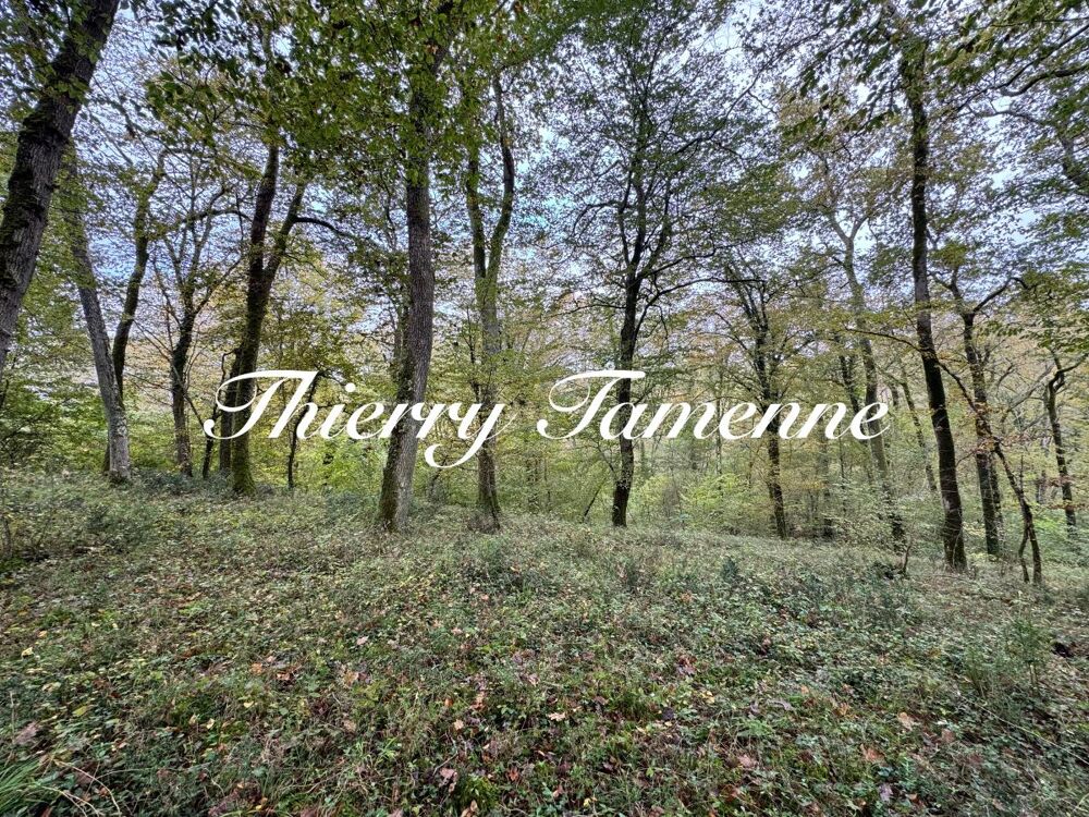 Vente Terrain Forêt Barbaste