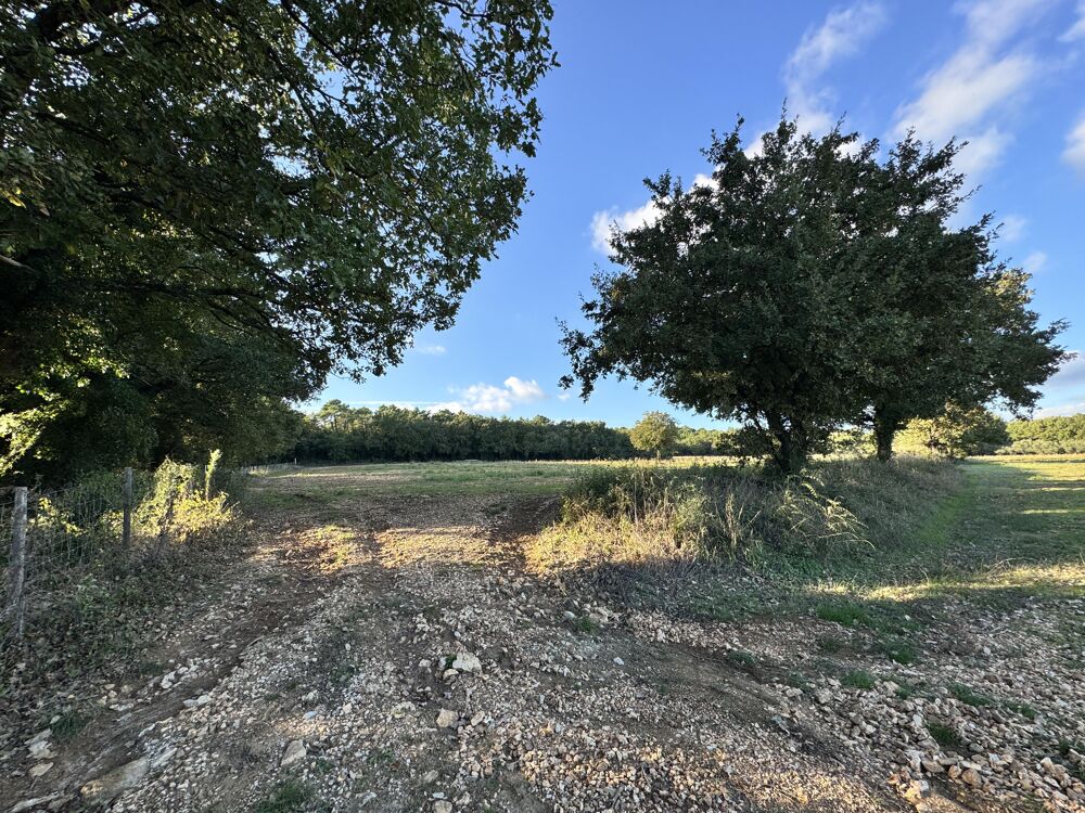 Vente Terrain Terrain agricole Fons