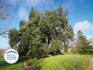  Viager  vendre 12 pices 425 m Caraman