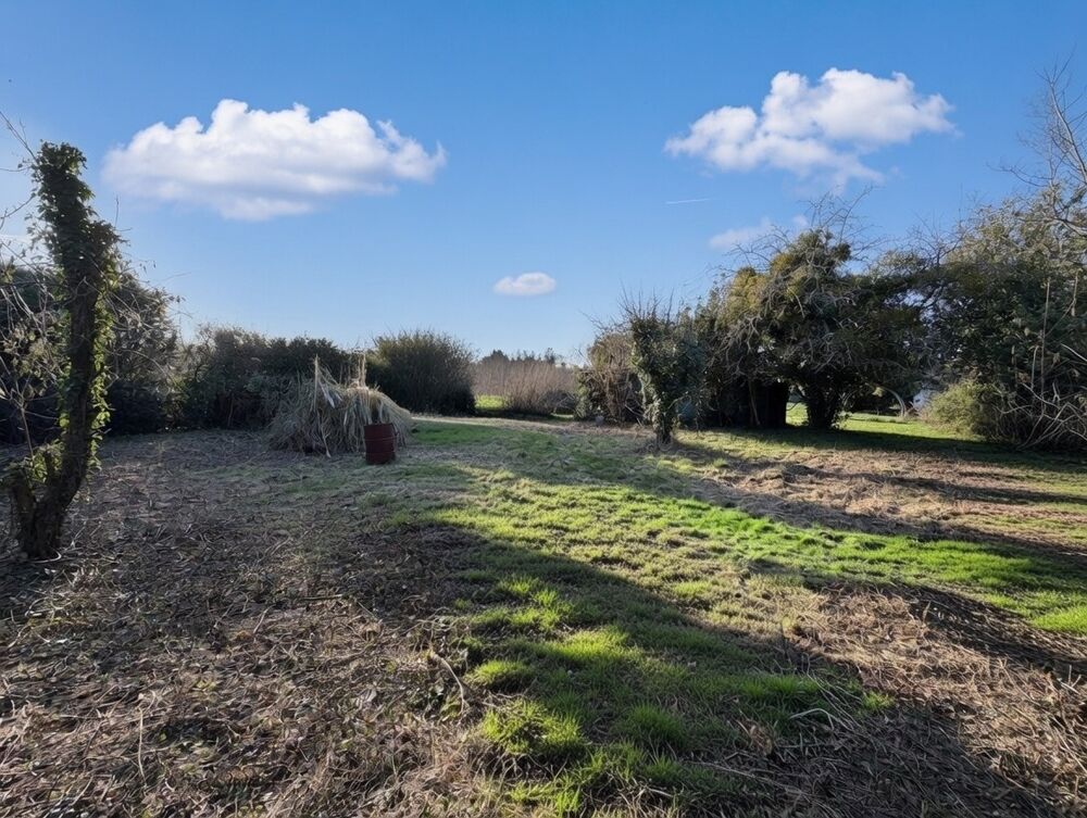Vente Terrain Terrain constructible Lorrez-le-bocage-préaux