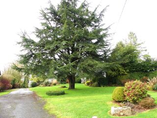  Maison � vendre 4 pi�ces 165 m�