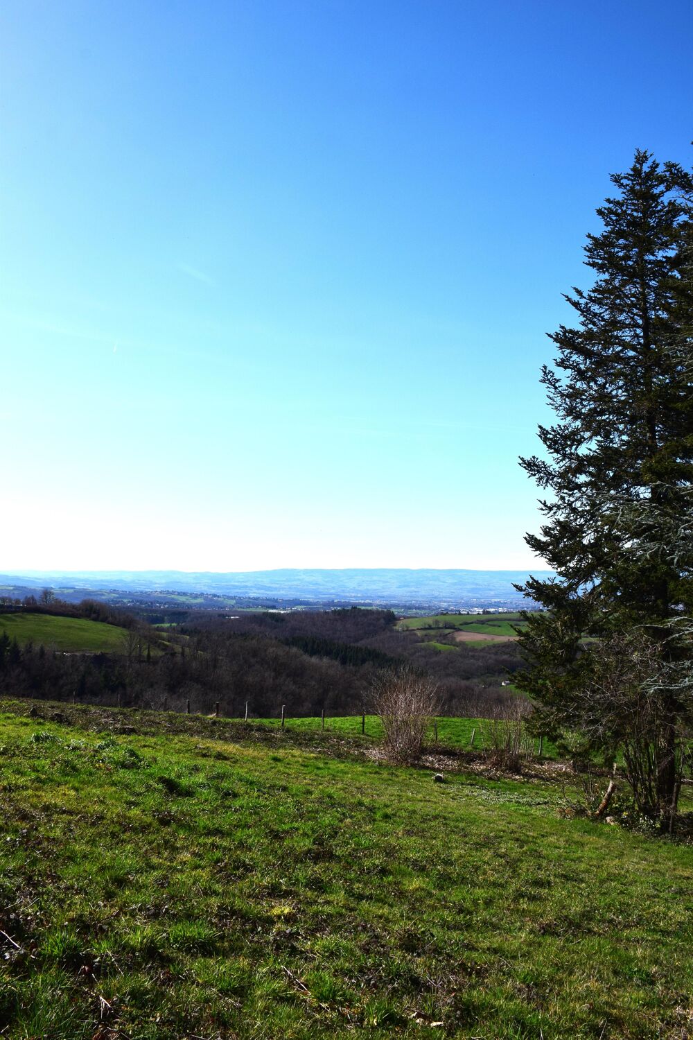 Vente Terrain Terrain constructible Saint-héand