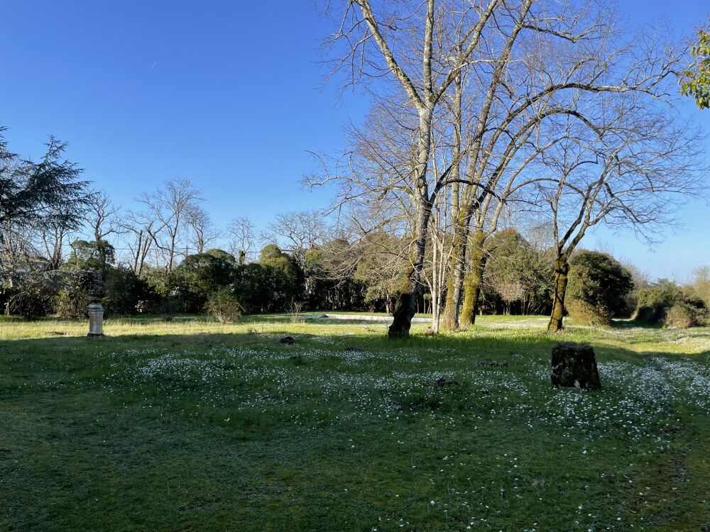 Vente Propriété/Château Château 11 pièces Arveyres