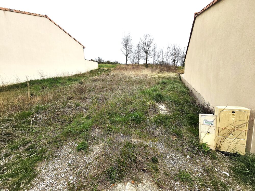Vente Terrain Terrain constructible Avignonet-lauragais