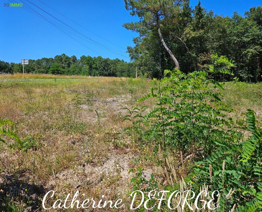 Vente Terrain Terrain constructible Civrac-de-blaye