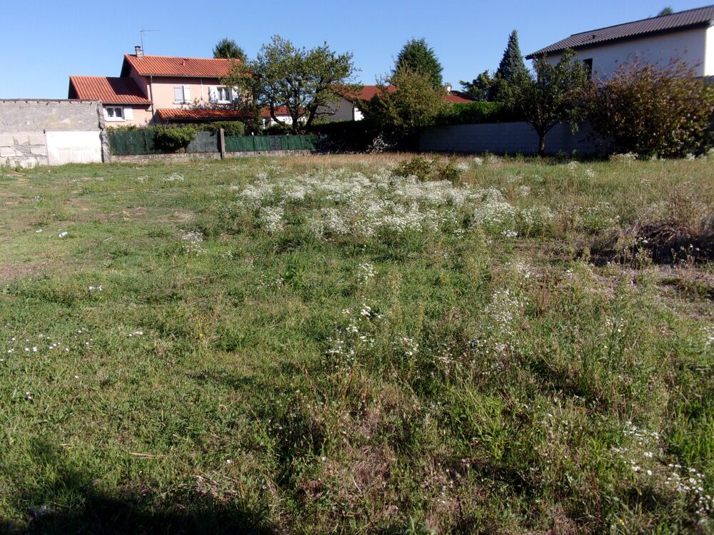 Vente Terrain Terrain constructible Chassieu