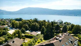  Viager  vendre 7 pices 201 m Veyrier-du-lac