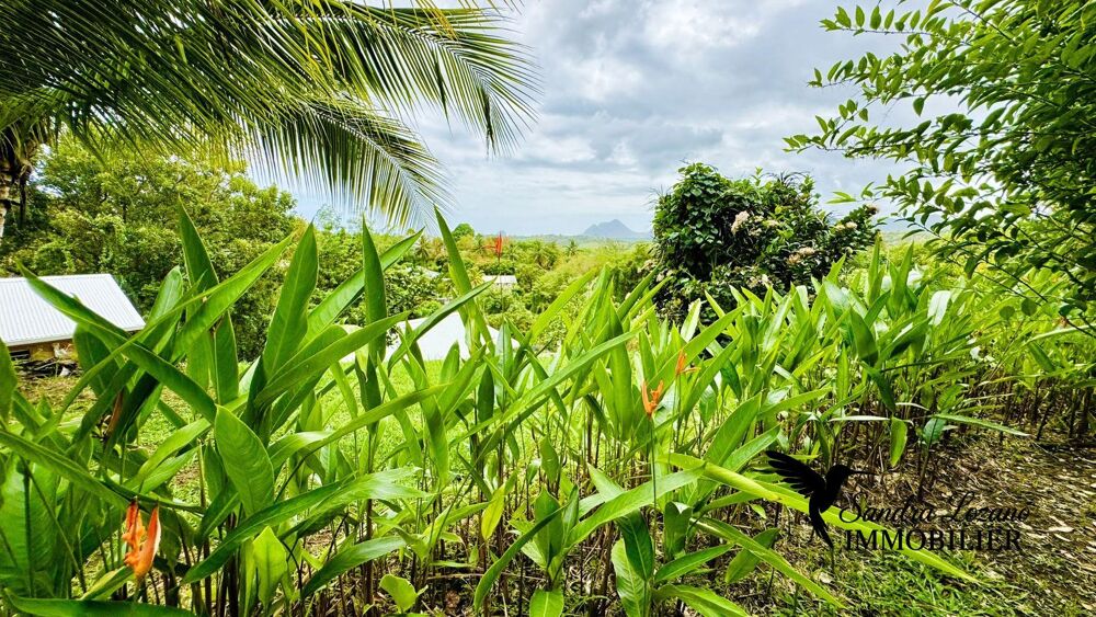 � vendre  Maison Sainte-Luce (97228)