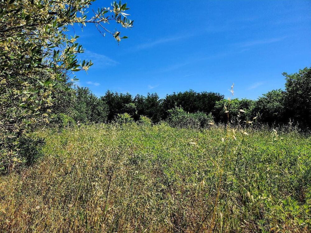 Vente Terrain Terrain constructible Cassagnoles