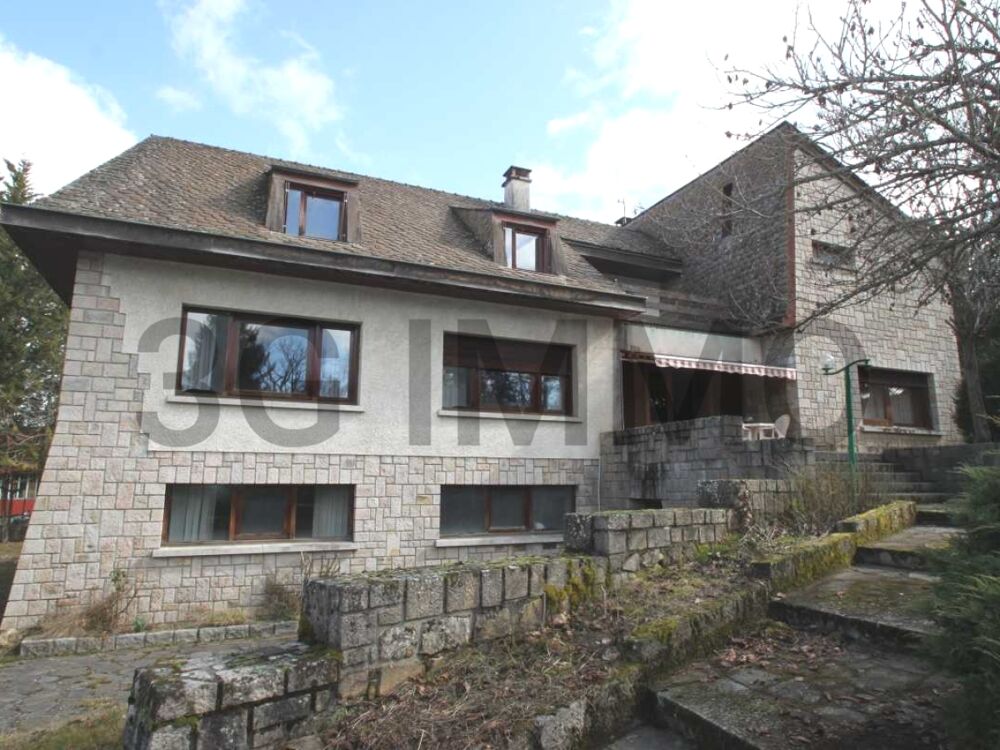 Vente Maison Maison 11 pièces Le malzieu-ville