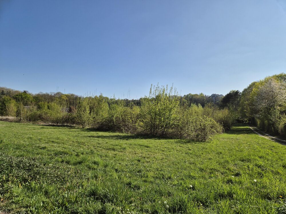 Vente Terrain Terrain constructible Morsang-sur-seine