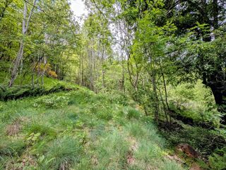  Terrain à vendre 143698 m²
