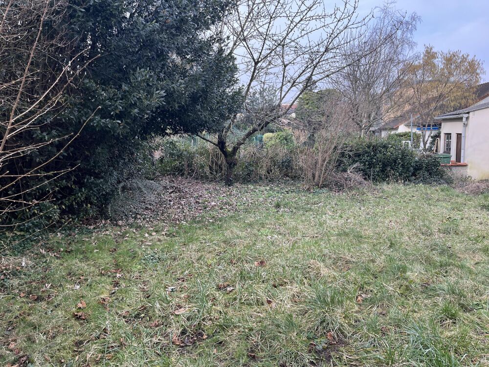 Vente Terrain Terrain constructible Châtillon