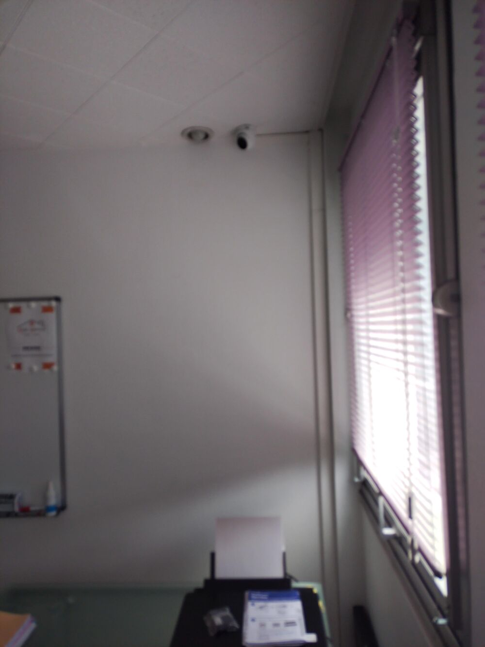   Vente murs pro  à Pau Pau