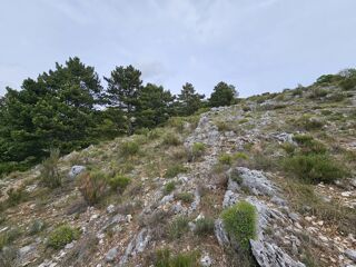  Terrain à vendre 38826 m²