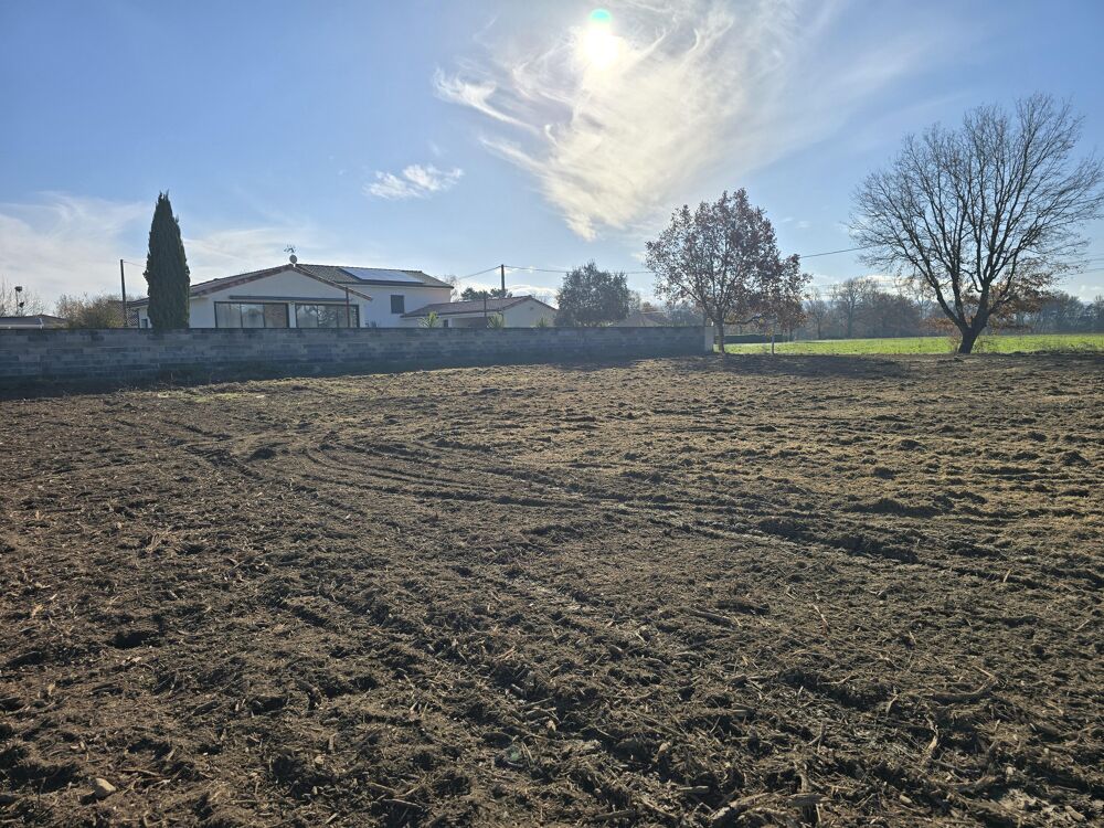 Vente Terrain Terrain constructible Cambounet-sur-le-sor