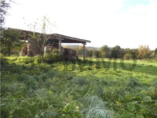 Vente Terrain Terrain constructible Verdalle