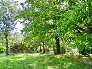  Terrain � vendre 2370 m�