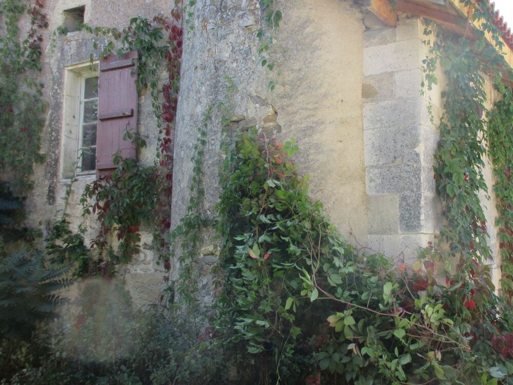 Maison 5 pièces