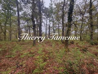  Terrain � vendre 48400 m�