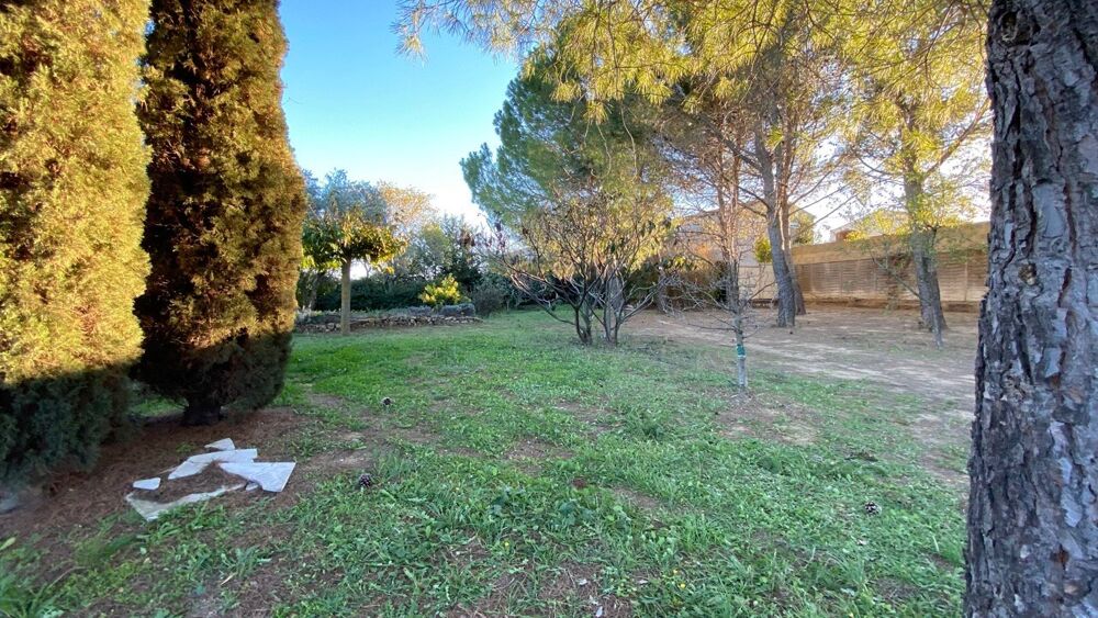 Vente Terrain Terrain constructible Abeilhan