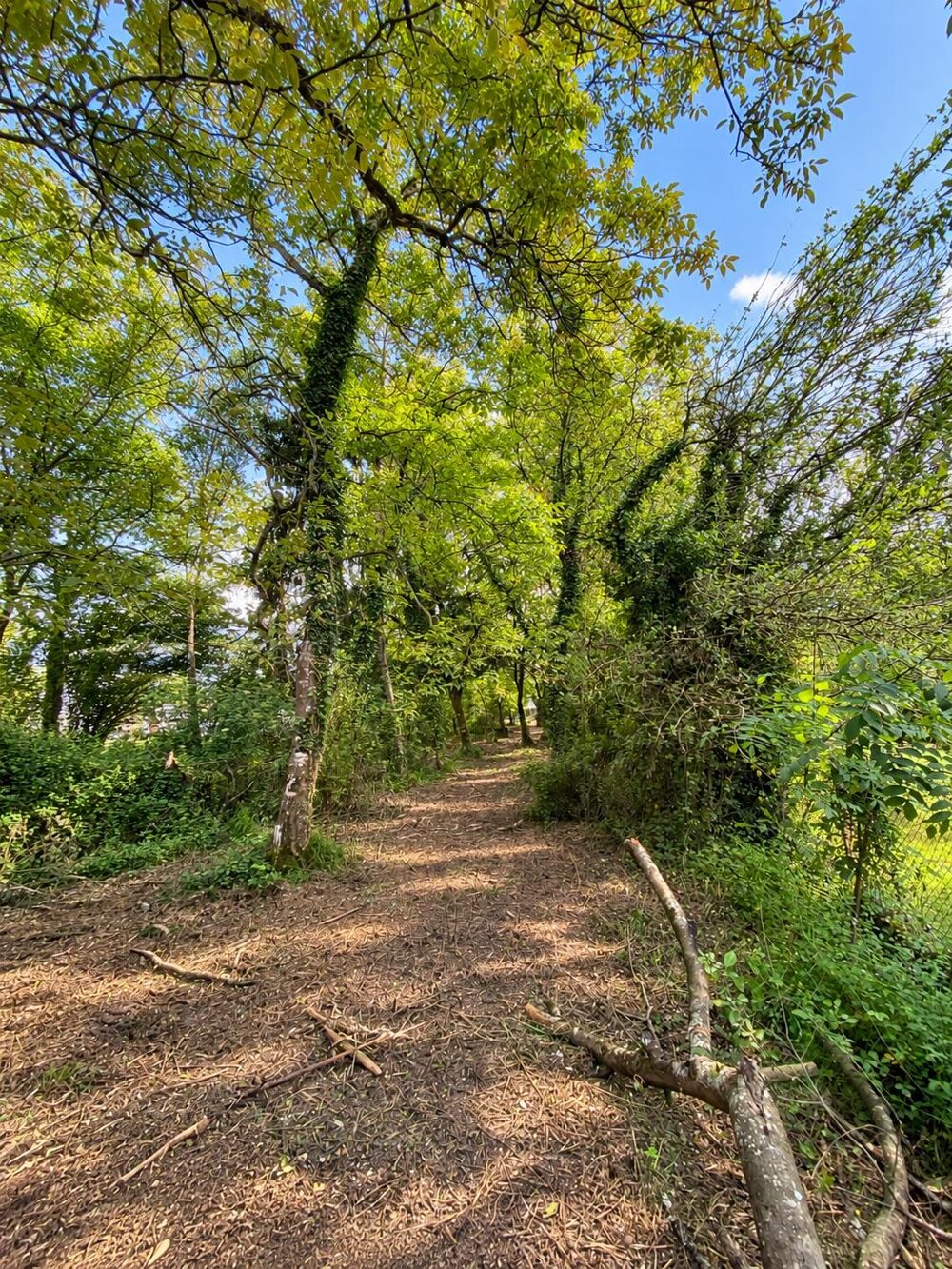 Vente Maison Maison avec dépendance 7 pièces Préchacq-navarrenx