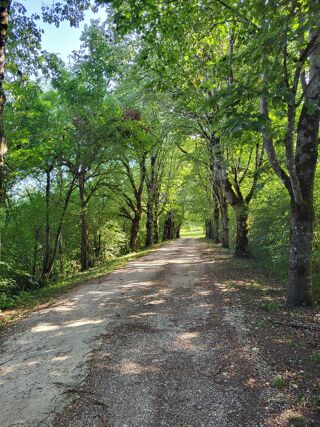  Propri�t�/ch�teau � vendre 9 pi�ces 