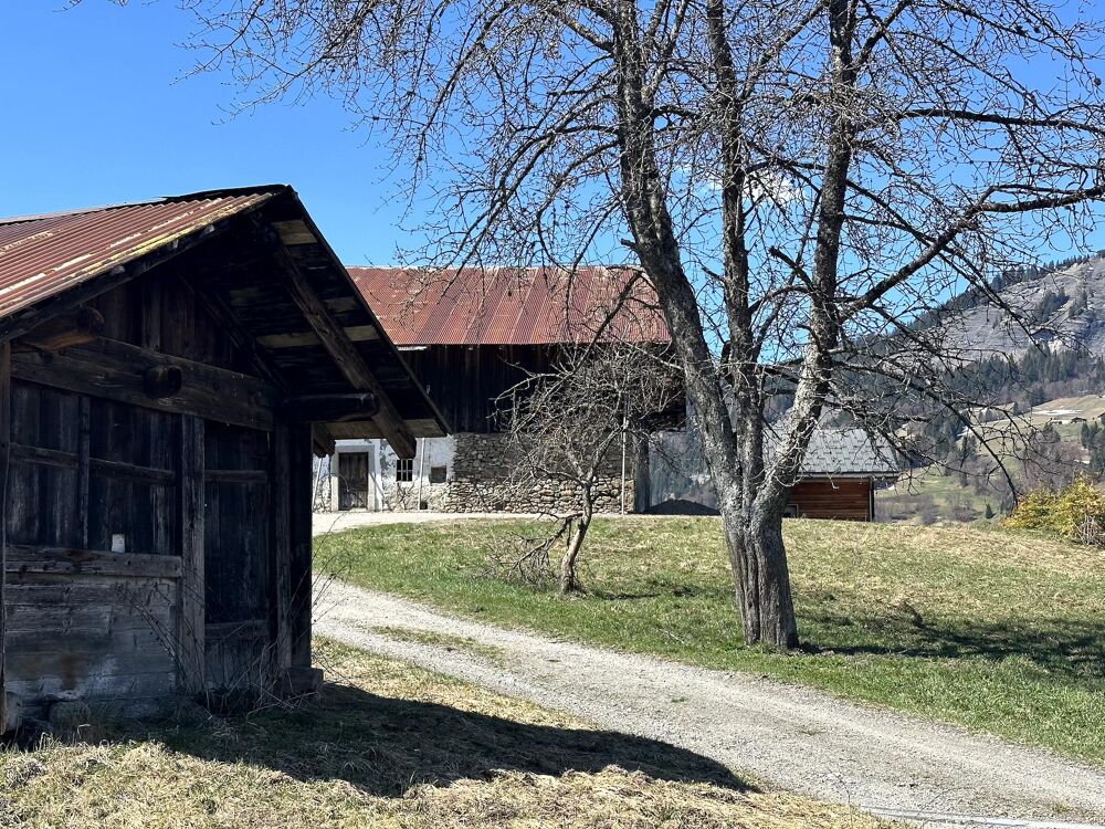 � vendre  Propri�t�/ch�teau Praz-sur-Arly (74120)