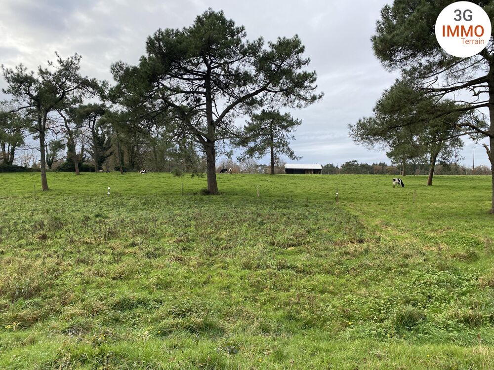 Vente Terrain Terrain constructible Grand-champ