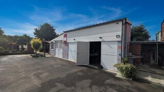 Vente Maison Maison de maître Pfastatt