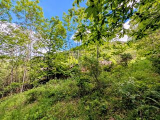  Terrain à vendre 143698 m²