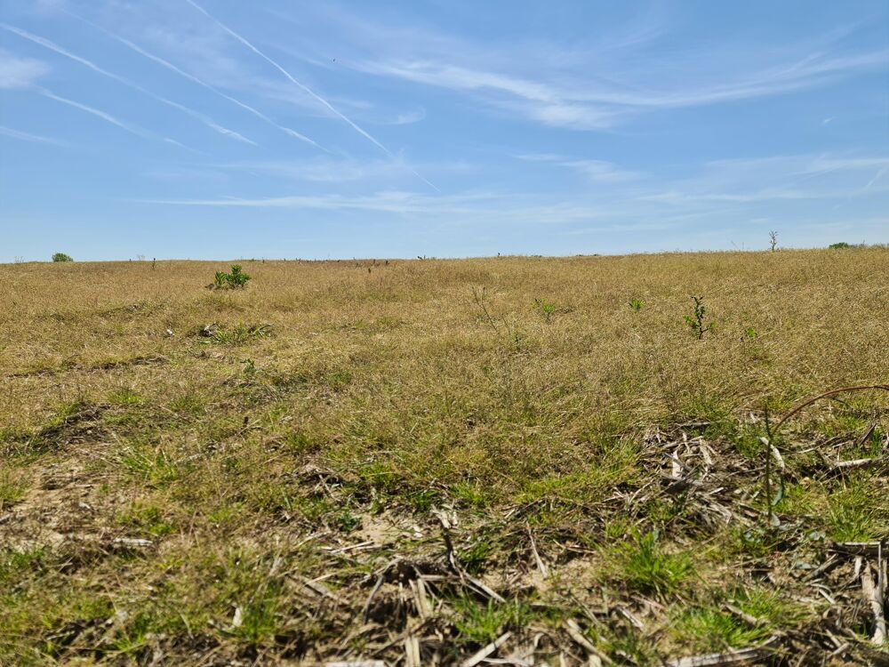 Vente Terrain Terrain constructible Sainte-marie-de-gosse