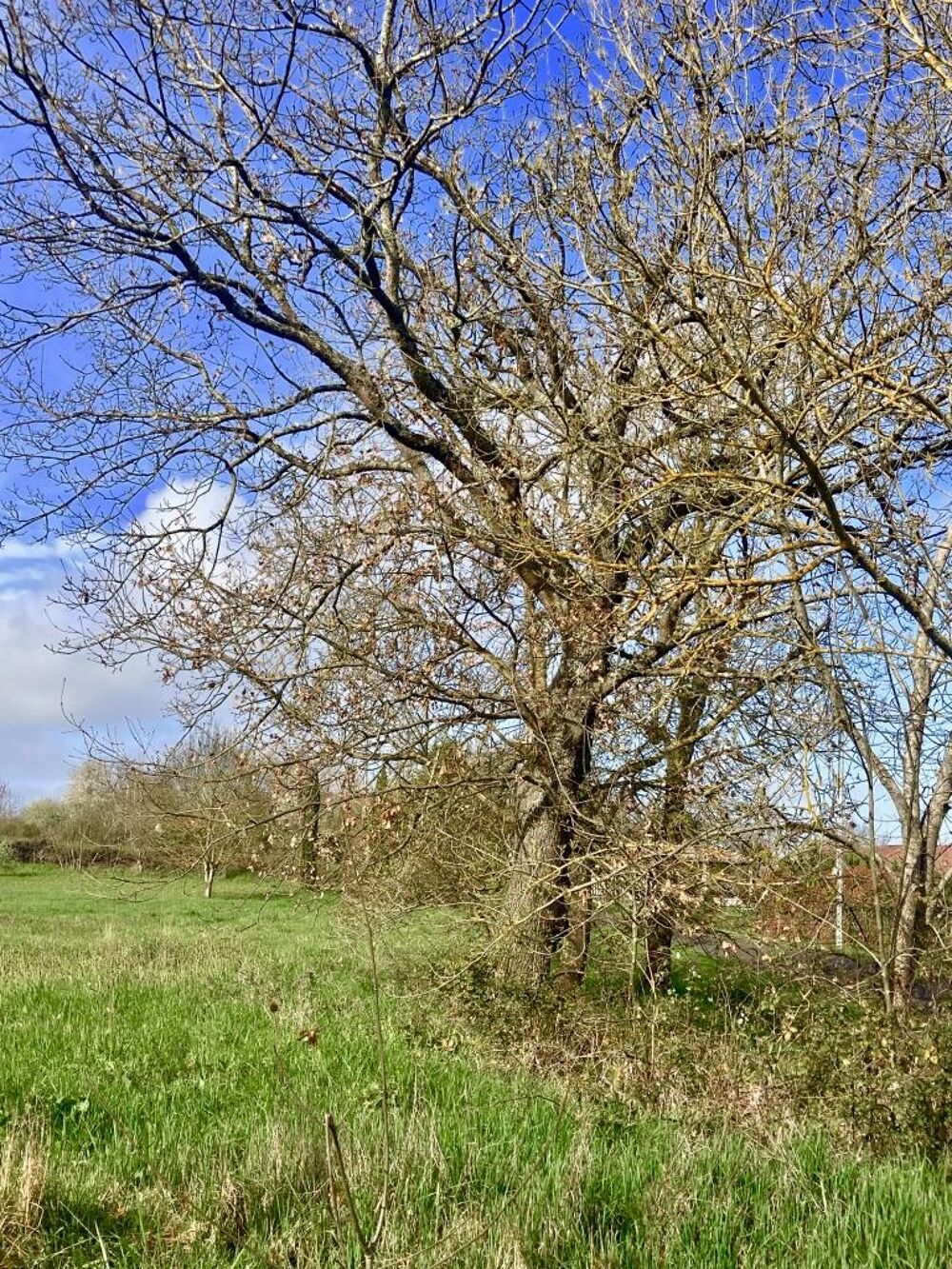 Vente Terrain Terrain constructible L'isle-jourdain