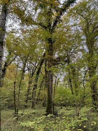  Terrain  vendre 82016 m