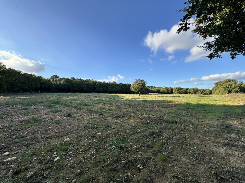 Vente Terrain Terrain agricole Fons