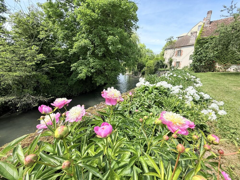  vendre  Maison Jutigny (77650)