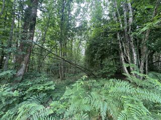  Terrain � vendre 141093 m�