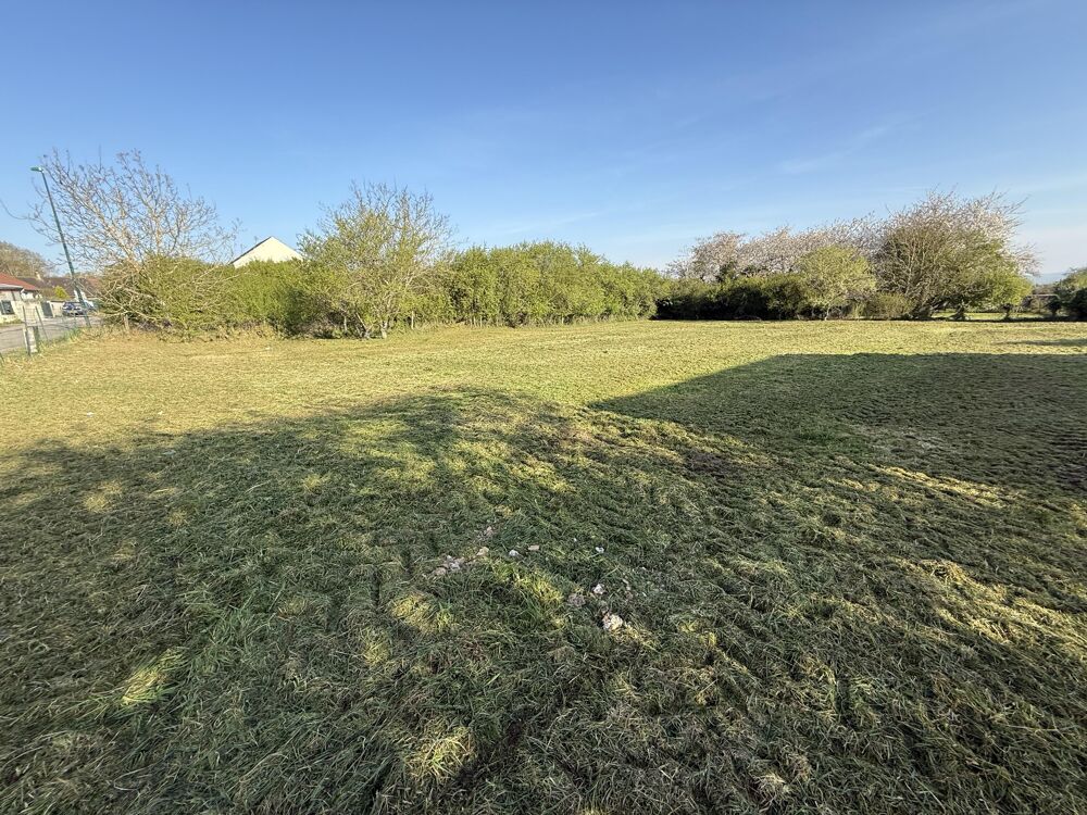 Vente Terrain Terrain constructible Villeblevin
