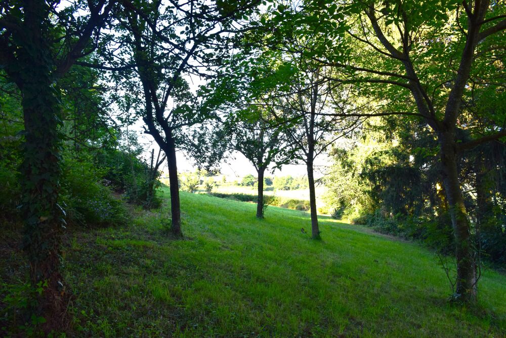 Vente Terrain Terrain constructible Saint-héand