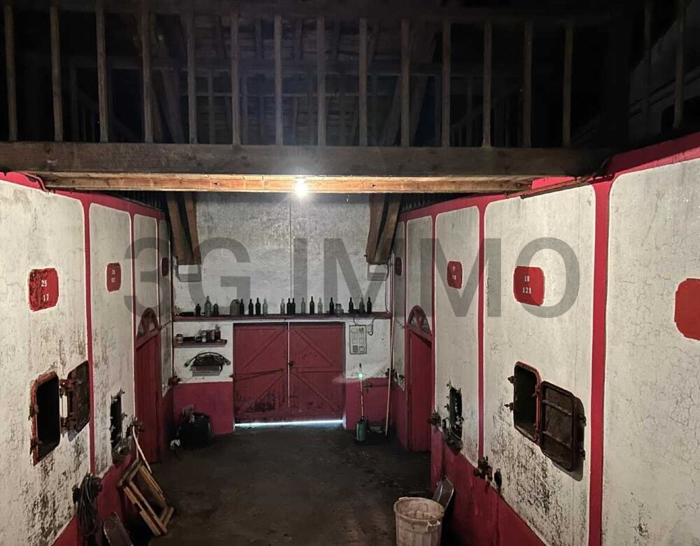  vendre  Maison Omet (33410)