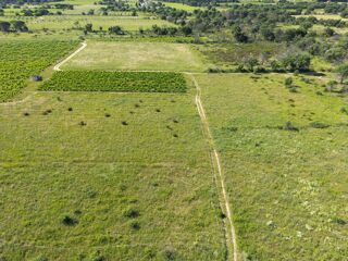 Vente Terrain Terrain agricole Saint-andré
