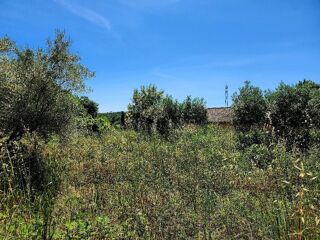  Terrain � vendre 1490 m�