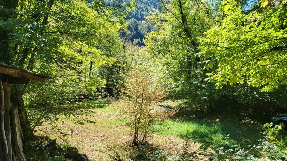 Vente Terrain Terrain Queige