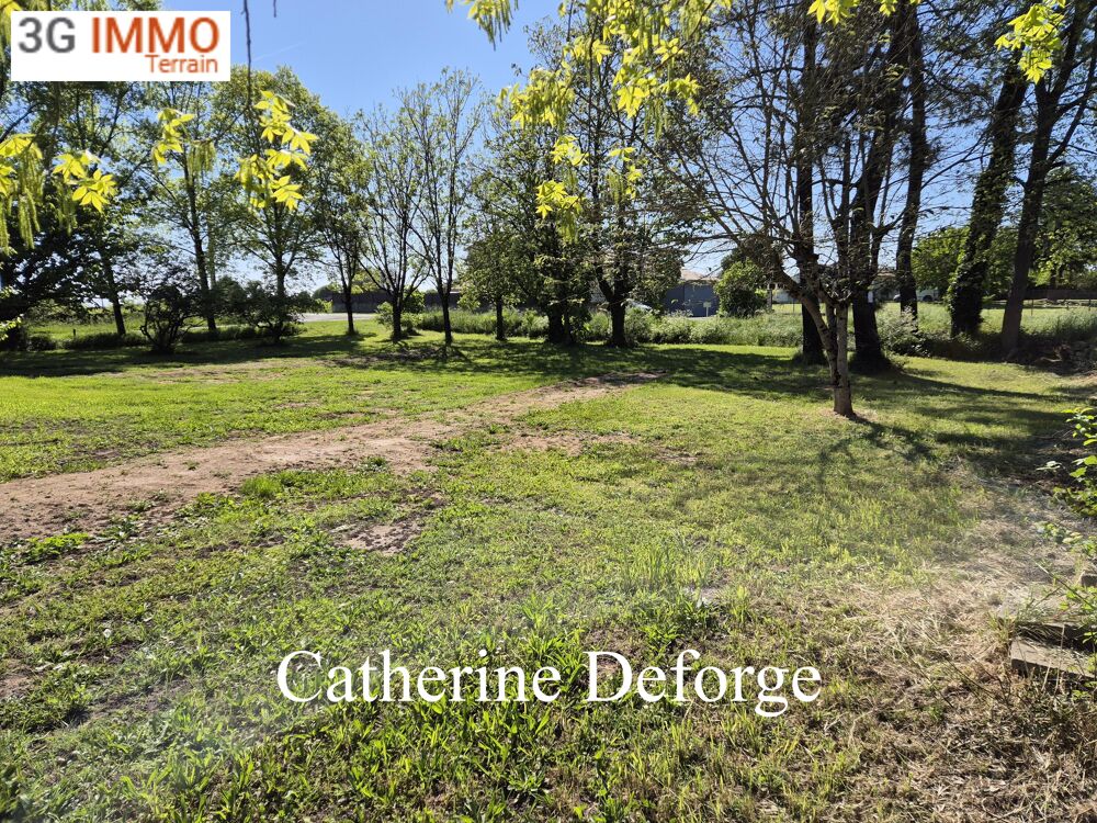 Vente Terrain Terrain constructible Prignac-et-marcamps