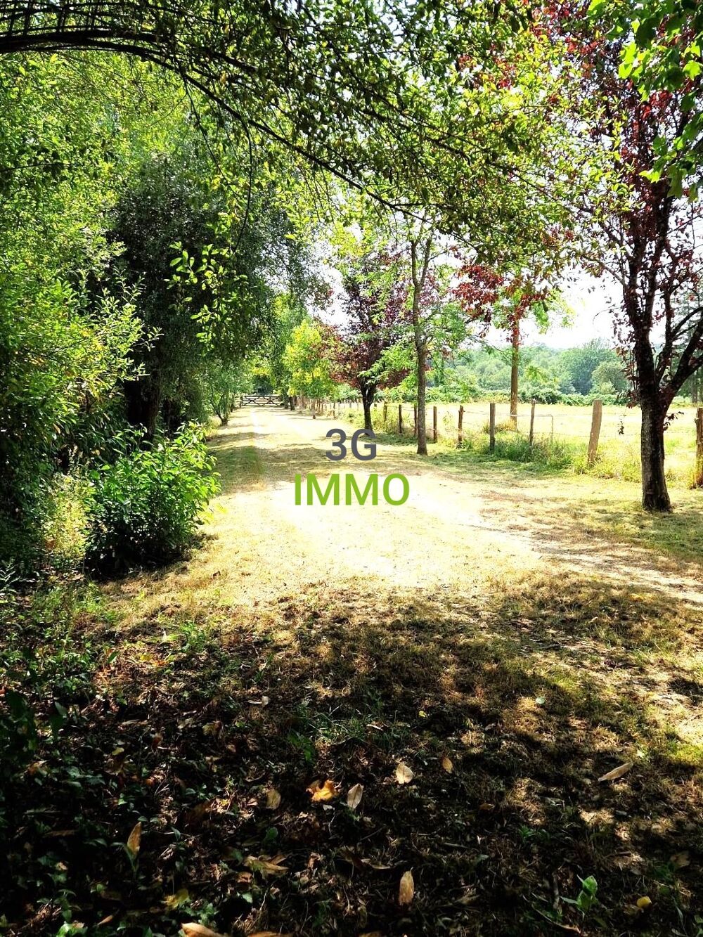 Vente Maison Maison en pierre 5 pièces Juvigny val d'andaine