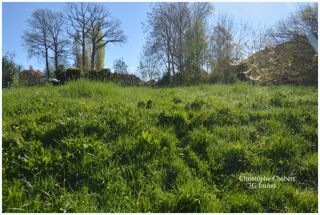  Terrain à vendre 725 m²