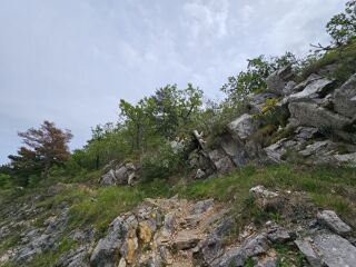  Terrain à vendre 36004 m²