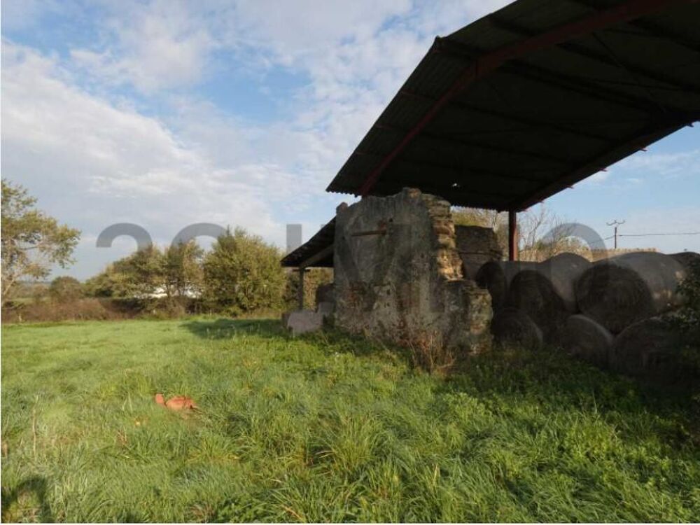 Vente Terrain Terrain constructible Verdalle