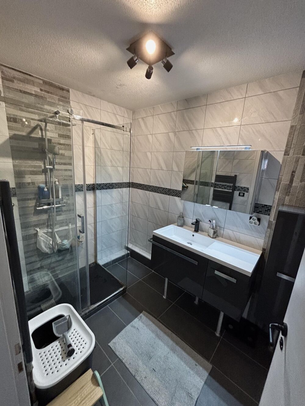 Vente Appartement Appartement 3 pièces Wintzenheim